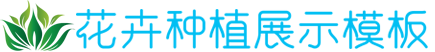 开元电子足球赛事平台,开元电子电竞官网